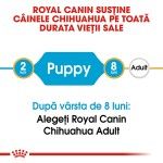 Royal Canin Chihuahua Puppy hrana uscata caine junior, 500 g