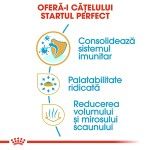 Royal Canin Chihuahua Puppy hrana uscata caine junior, 500 g
