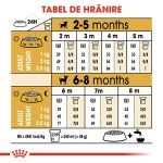 Royal Canin Chihuahua Puppy hrana uscata caine junior, 500 g