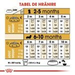 Royal Canin Dachshund Puppy hrana uscata caine junior Teckel, 1.5 kg
