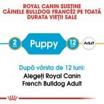 Royal Canin French Bulldog Puppy, 3 kg - varsta