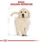 Royal Canin Golden Retriever Puppy - rasa