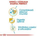 Royal Canin German Shepherd Puppy hrana uscata caine junior Ciobanesc German, 1 kg