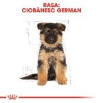 Royal Canin German Shepherd Puppy - rasa