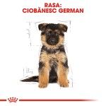 Royal Canin German Shepherd Puppy hrana uscata caine junior Ciobanesc German, 1 kg