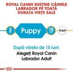Royal Canin Labrador Puppy - varsta