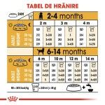 Royal Canin Labrador Puppy hrana uscata caine junior, 3 kg