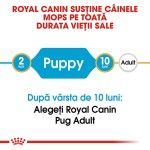 Royal Canin Pug Puppy hrana uscata caine junior, 1.5 kg