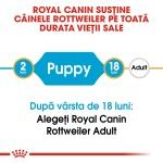 Royal Canin Rottweiler Puppy - varsta