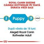 Royal Canin Rottweiler Puppy hrana uscata caine junior, 12 kg