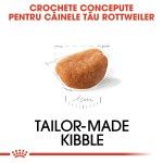 Royal Canin Rottweiler Puppy, 1 kg - crocheta