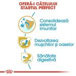 Royal Canin Rottweiler Puppy hrana uscata caine junior, 12 kg