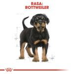 Royal Canin Rottweiler Puppy, 1 kg - rasa