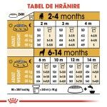 Royal Canin Rottweiler Puppy hrana uscata caine junior, 12 kg
