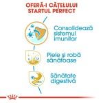 Royal Canin Shih Tzu Puppy hrana uscata caine junior, 1.5 kg