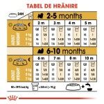 Royal Canin Shih Tzu Puppy hrana uscata caine junior, 500 g