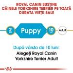 Royal Canin Yorkshire Terrier Puppy - varsta