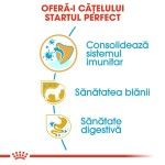 Royal Canin Yorkshire Terrier Puppy - beneficii