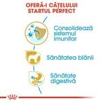 Royal Canin Yorkshire Puppy hrana uscata caine junior, 1.5 kg