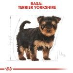 Royal Canin Yorkshire Puppy hrana uscata caine junior, 1.5 kg