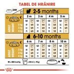 Royal Canin Yorkshire Puppy hrana uscata caine junior, 1.5 kg