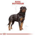 Royal Canin Rottweiler Adult - rasa