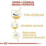 Royal Canin Shih Tzu Adult hrana uscata caine, 1.5 kg