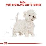 Royal Canin West Highland Terrier Adult hrana uscata caine Westie, 3 kg
