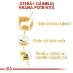 Royal Canin West Highland White Terrier Adult - beneficii