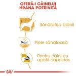 Royal Canin West Highland Terrier Adult hrana uscata caine Westie, 3 kg