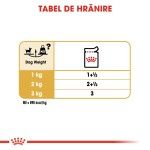 Royal Canin Chihuahua Adult hrana umeda caine (pate), 12 x 85 g