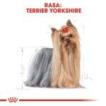 Royal Canin Yorkshire Terrier Adult (pate), 12 x 85 g - rasa