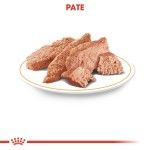Royal Canin Yorkshire Terrier Adult (pate), 12 x 85 g - pate