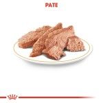 Royal Canin Yorkshire Terrier Adult hrana umeda caine (pate), 12 x 85 g