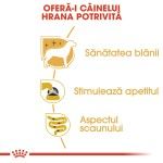 Royal Canin Yorkshire Terrier Adult (pate), 12 x 85 g - beneficii