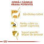 Royal Canin Yorkshire Terrier Adult - beneficii