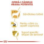 Royal Canin Yorkshire Adult hrana uscata caine, 5 g