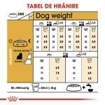 Royal Canin Yorkshire Adult hrana uscata caine, 5 g