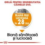 Royal Canin Mini Coat Care Adult hrana uscata caine, blana sanatoasa si lucioasa, 3 kg