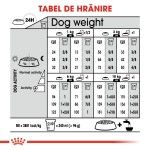 Royal Canin Mini Coat Care Adult hrana uscata caine, blana sanatoasa si lucioasa, 1 kg 