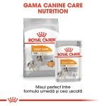 Royal Canin Coat Care Mini - gama