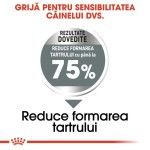 Royal Canin Dental Care Maxi, 3 kg - rezultate