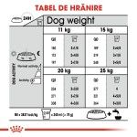 Royal Canin Dental Care Medium, 10 kg - hranire