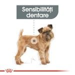 Royal Canin Mini Dental Care Adult hrana uscata caine, reducerea formarii tartrului, 1 kg 