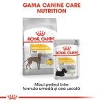 Royal Canin Dermacomfort Maxi - gama