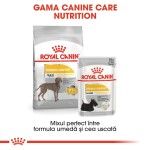 Royal Canin Maxi Dermacomfort hrana uscata caine, prevenirea iritatiilor pielii, 12 kg