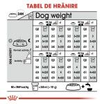 Royal Canin Maxi Dermacomfort hrana uscata caine, prevenirea iritatiilor pielii, 12 kg
