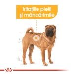 Royal Canin Medium Dermacomfort hrana uscata caine, prevenirea iritatiilor pielii, 3 kg