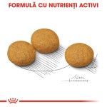 Royal Canin Medium Dermacomfort hrana uscata caine, prevenirea iritatiilor pielii, 3 kg