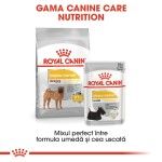 Royal Canin Dermacomfort Medium - gama